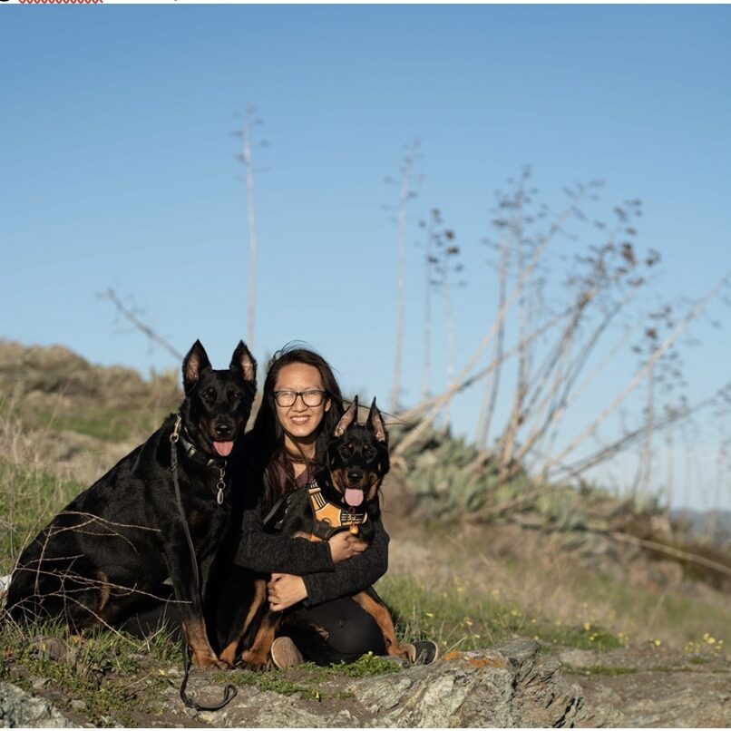 A woman and two dogs sitting on the ground.